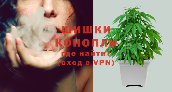 МДМА Новодвинск