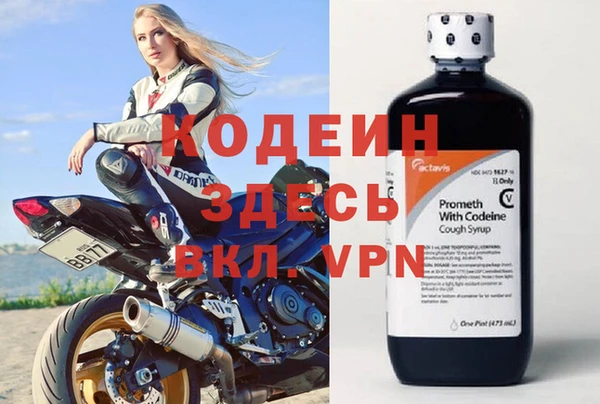 Альфа ПВП Новозыбков