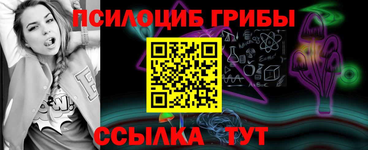 Псилоцибиновые грибы GOLDEN TEACHER  Вход с VPN  Мурманск  Псилоцибиновые грибы Magic Shrooms 